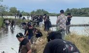 Rayakan 1 Dekade, KMFT Unsulbar Tanam Mangrove Cegah Abrasi di Ba’batoa
