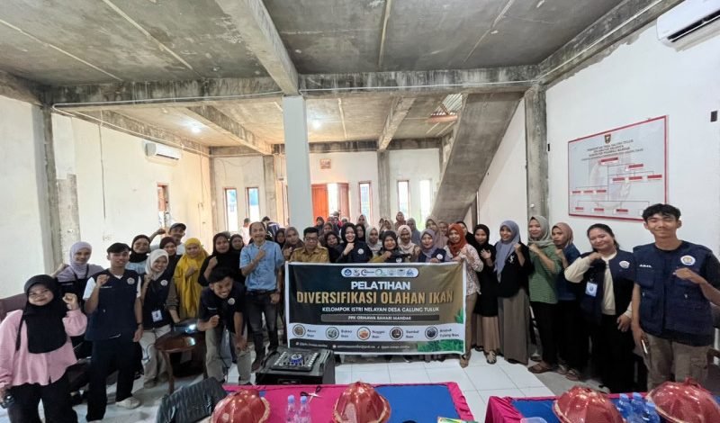 PPK Ormawa HIMAIPA Unsulbar Latih Warga Galung Tuluk Olah Ikan Jadi Nugget