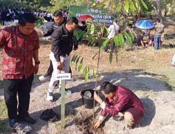 PKKMB 2026 Unsulbar Sebarkan Bibit Pohon, Penanaman Dipantau Lewat Geotag